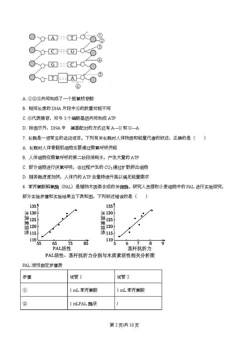 浙江强基联盟2026年3月高二下学期联考生物学试题（原卷版）第2页