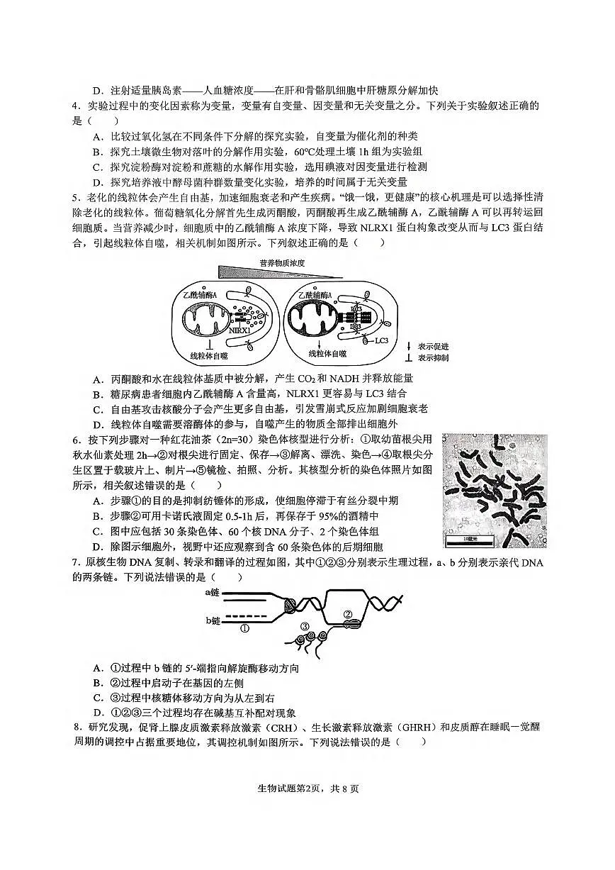 生物丨重庆市育才中学校2026届高三下学期3月入学考试试卷及答案第2页