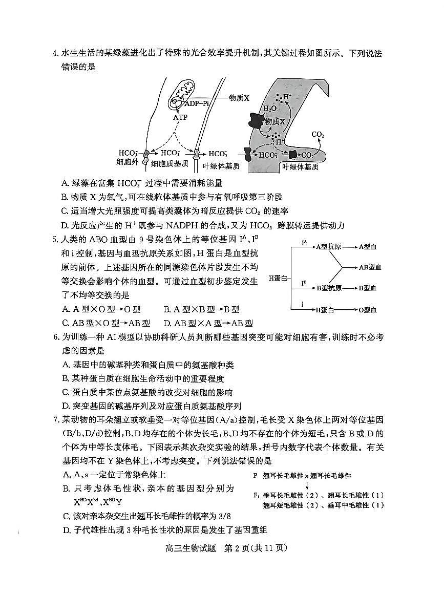 2026届山东省滨州市下学期高三一模 生物试题及答案第2页