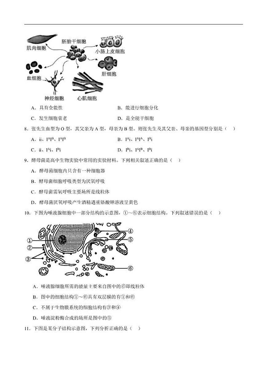 2025-2026学年浙江省浙南名校联盟高一下学期开学练习生物试卷（含答案）第2页