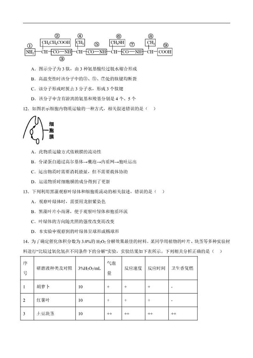 2025-2026学年浙江省浙南名校联盟高一下学期开学练习生物试卷（含答案）第3页