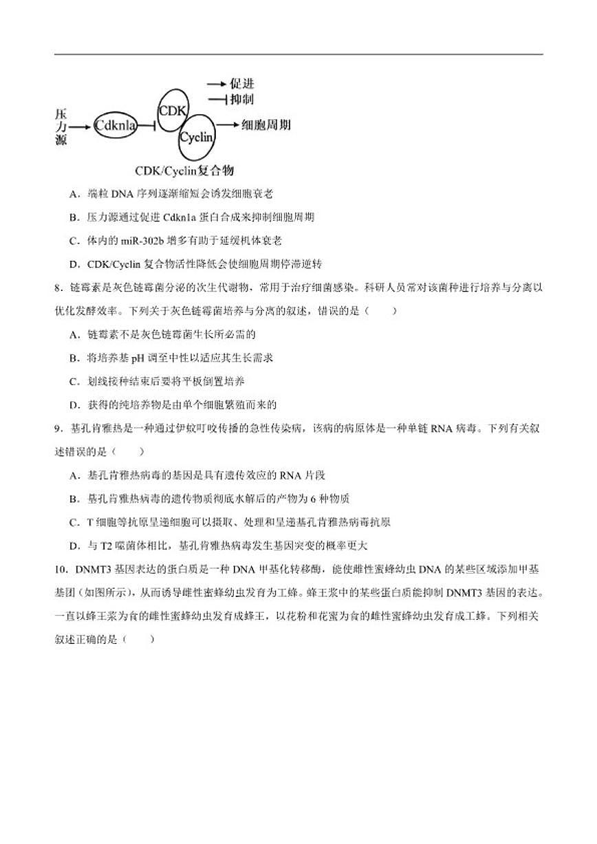 2026届河南省驻马店市高三下学期开学考试生物试卷（含答案）第3页