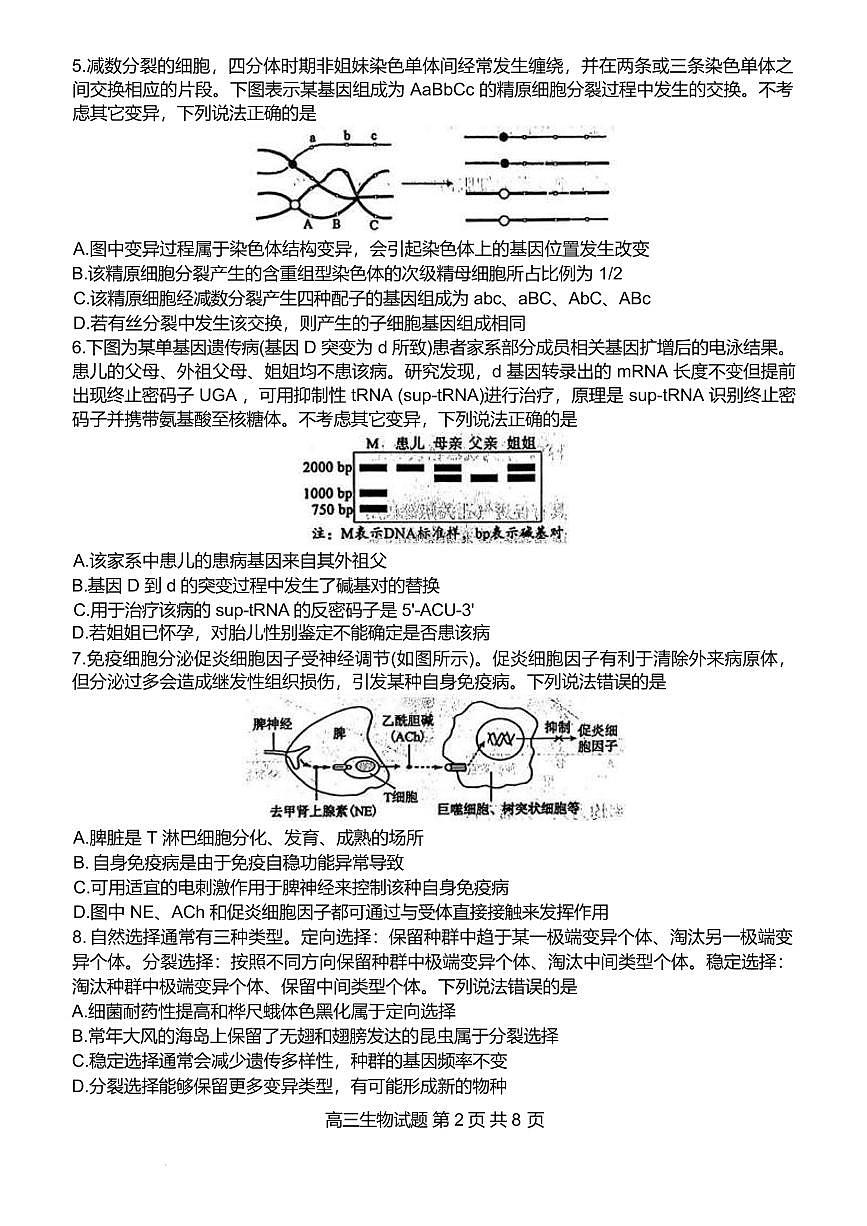 山东省东营市2026届高三年级第一次诊断性测试 生物第2页