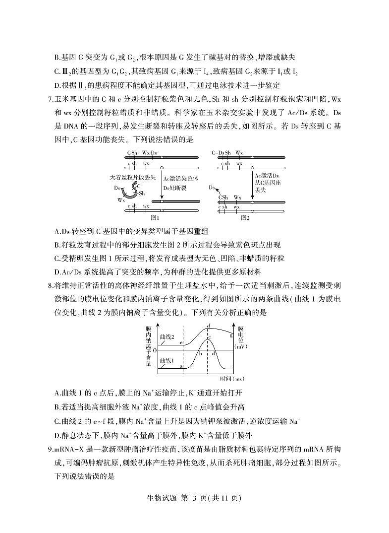 临沂市2026年普通高等学校招生全国统一考试（高考模拟）生物试卷及答案第3页