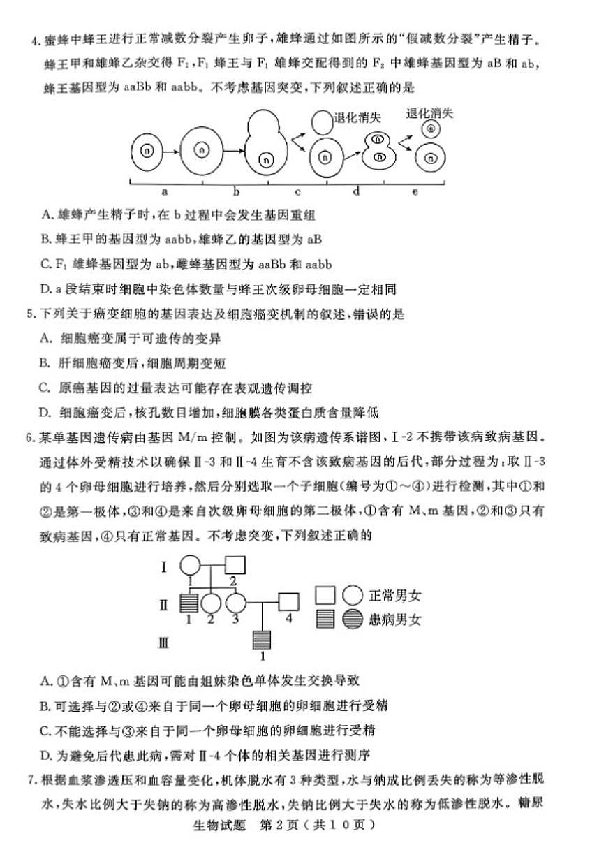 2026届山东省济宁市高三一模生物(扫描版,含答案)试题第2页