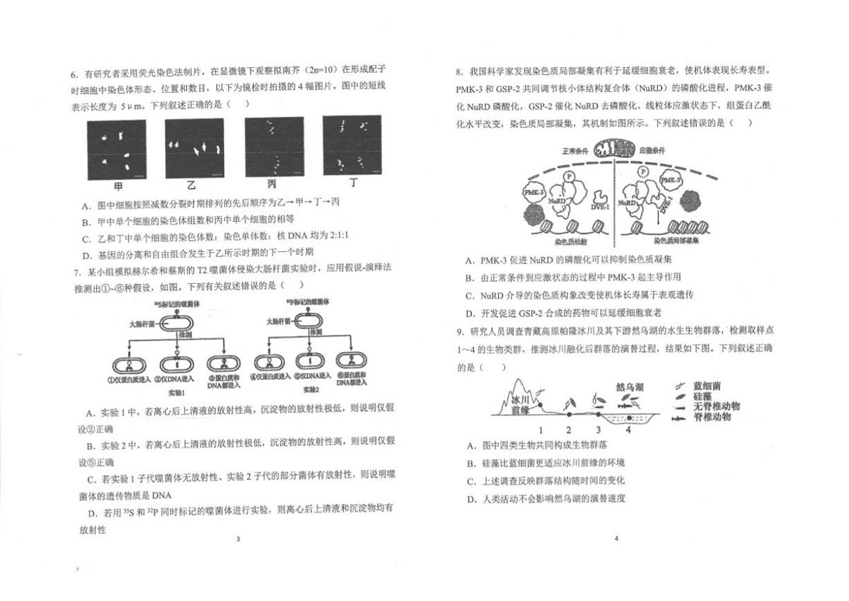 2026届陕西商洛市镇安县陕西省镇安中学高三下学期二模生物(扫描版,含解析)试题第2页