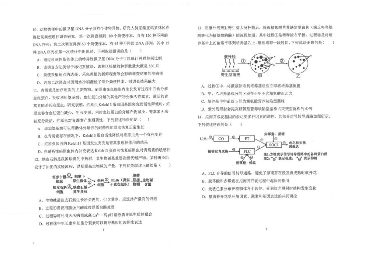 2026届陕西商洛市镇安县陕西省镇安中学高三下学期二模生物(扫描版,含解析)试题第3页