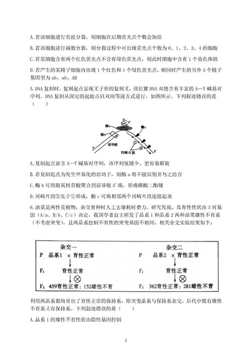 2026届山东聊城市下学期高三一模生物试题（含答案）第2页