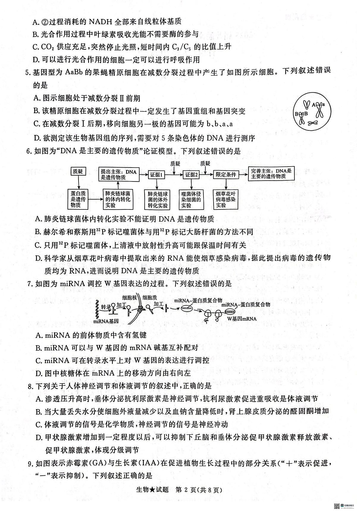 2025河南青桐鸣高三下学期2月联考生物试题（含答案）第2页