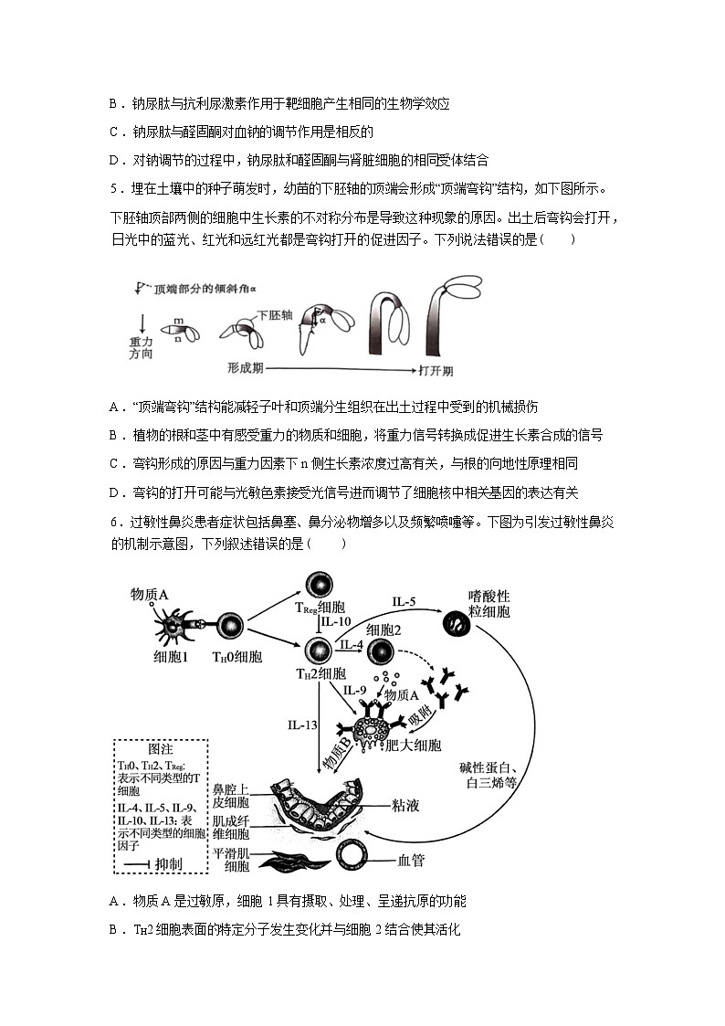 河北省石家庄实验中学2025-2026学年高二年级下学期寒假开学检测生物试卷含答案第2页