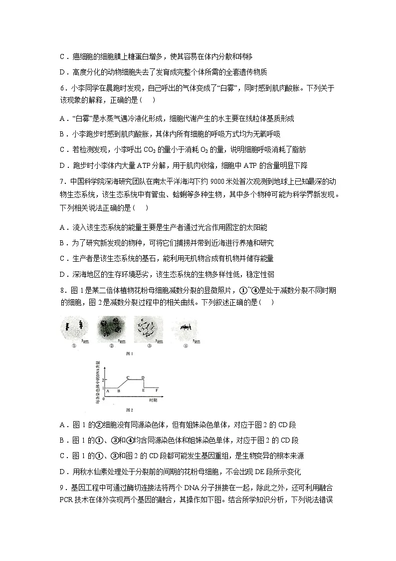 河北省雄安新区部分学校2025-2026学年高三下学期开学考试生物试题含答案第3页