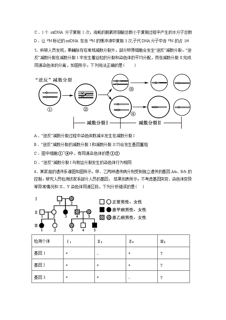 2026届河北省承德市强基联盟高三一模生物试题含答案第2页