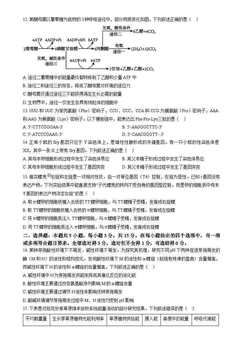 2025普通高校招生适应性测试内蒙古生物卷（八省联考）  Word版无答案第3页