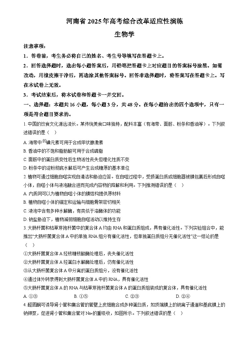 2025年1月普通高校适应性测试河南生物  Word版无答案第1页