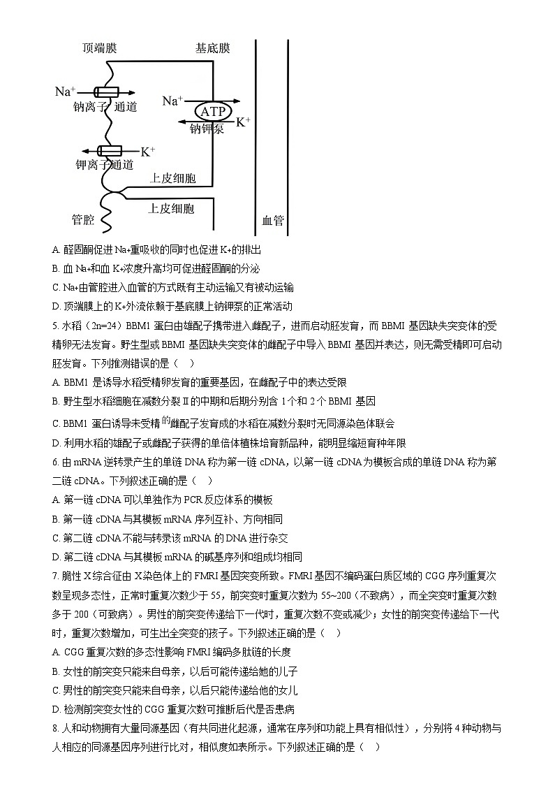 2025年1月普通高校适应性测试河南生物  Word版无答案第2页