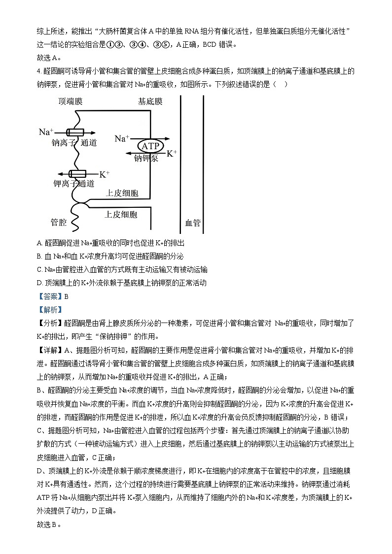 2025年1月普通高校适应性测试河南生物  Word版含解析第3页