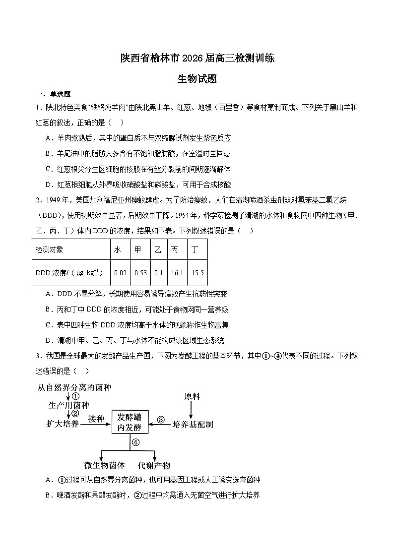 陕西省榆林市2026届高三上学期1月期末检测训练生物试卷（Word版附答案）第1页