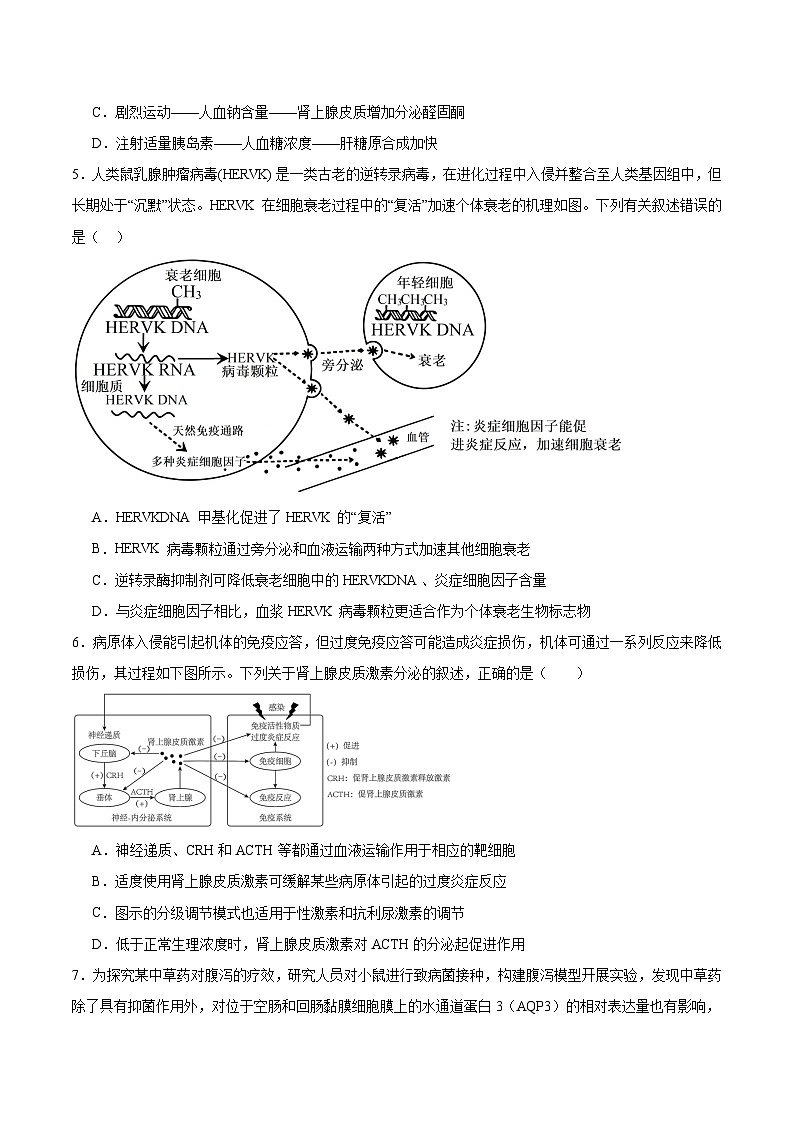 天津市八所重点学校2026届高三上学期期末联考生物试卷（Word版附答案）第2页