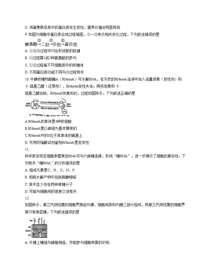山西省忻州市部分学校2025_2026学年高一上学期期中考试生物试题（文字版，含答案）第3页