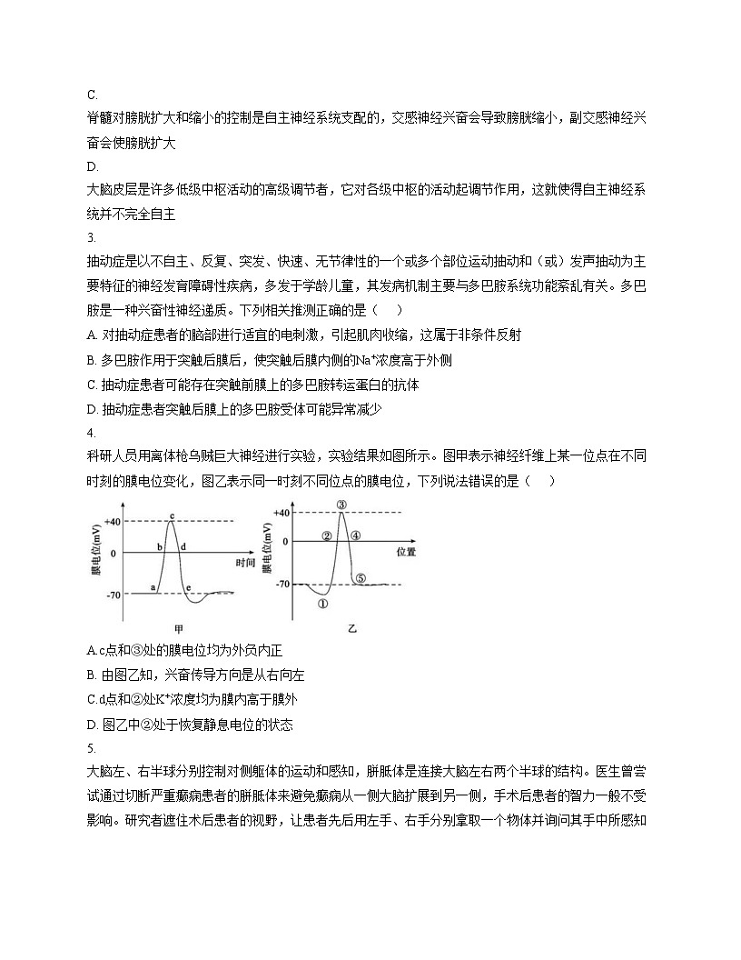 山东省淄博市实验中学2025_2026学年高二上学期期中考试生物试卷（文字版，含答案）第2页