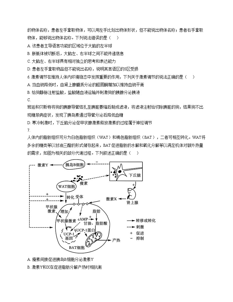 山东省淄博市实验中学2025_2026学年高二上学期期中考试生物试卷（文字版，含答案）第3页