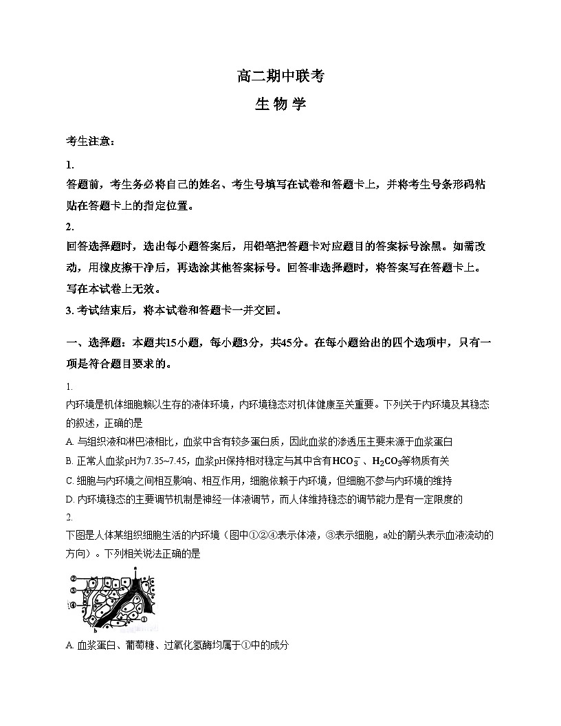 安徽省部分学校2025—2026学年高二上学期11月联考生物试题（文字版，含答案）第1页