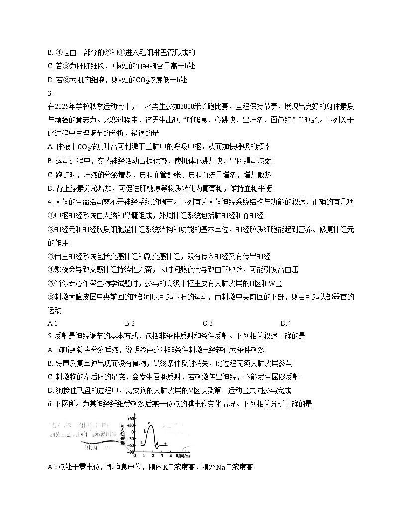 安徽省部分学校2025—2026学年高二上学期11月联考生物试题（文字版，含答案）第2页