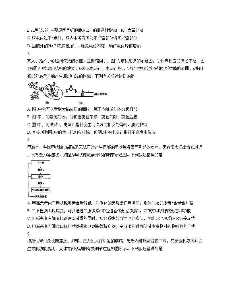 安徽省部分学校2025—2026学年高二上学期11月联考生物试题（文字版，含答案）第3页