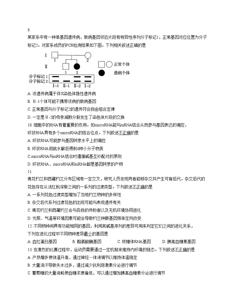 北京市通州区2025_2026学年高三上学期11月期中生物试题（扫描版，含答案）第3页