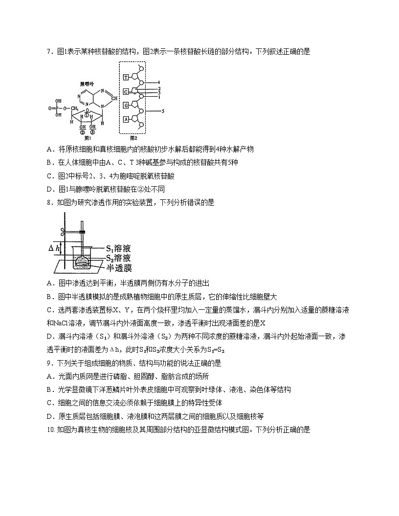福建省厦门外国语学校2025_2026学年高一上学期期中考试生物试题（文字版，含答案）第3页