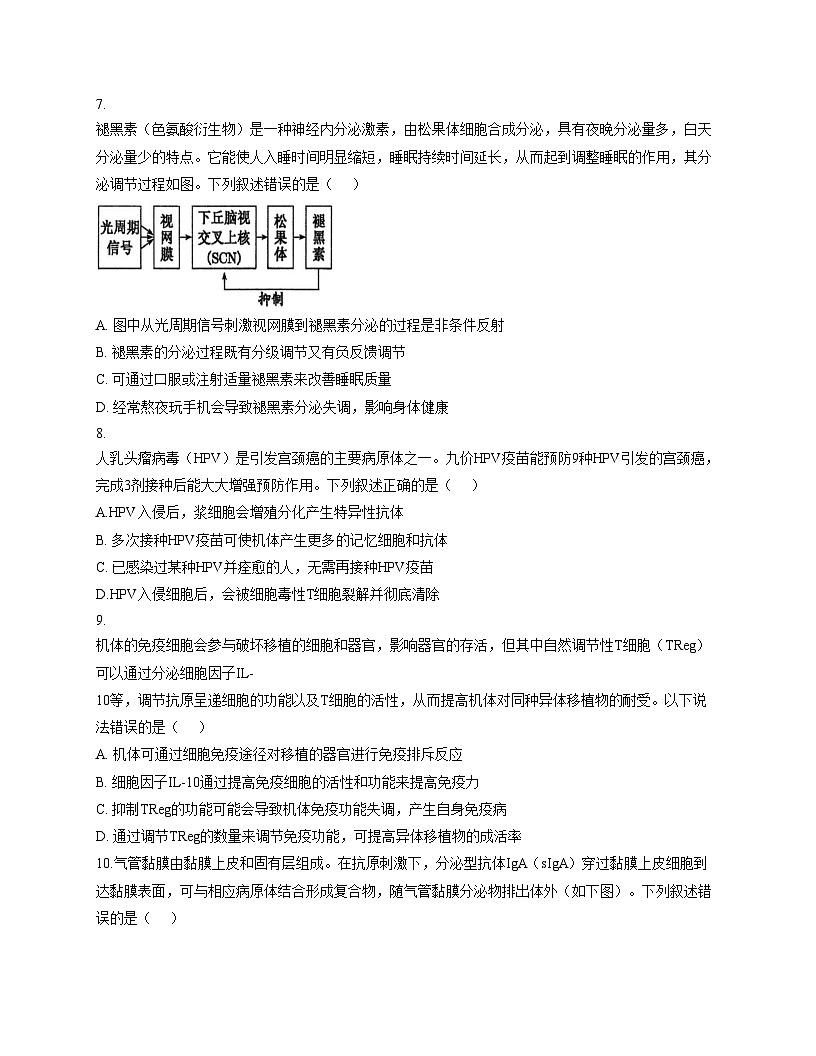 广东省东莞三校（莞美、大岭山、众美）联考2025_2026学年高二上学期期中考试生物试卷（文字版，含答案）第3页