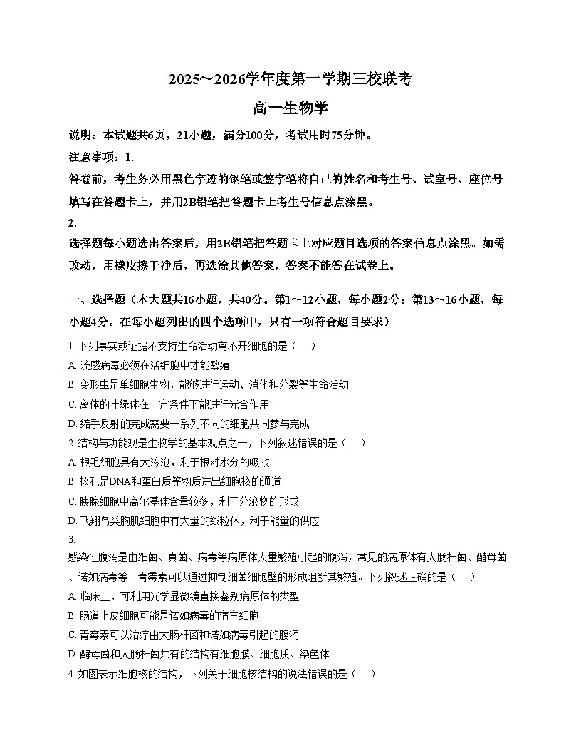 广东省东莞三校（莞美、大岭山、众美）联考2025_2026学年高一上学期期中考试生物试卷（文字版，含答案）第1页