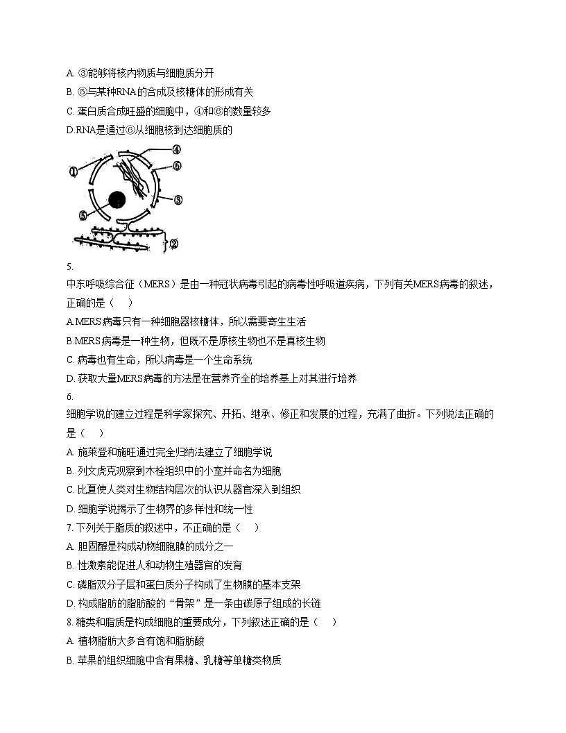 广东省东莞三校（莞美、大岭山、众美）联考2025_2026学年高一上学期期中考试生物试卷（文字版，含答案）第2页
