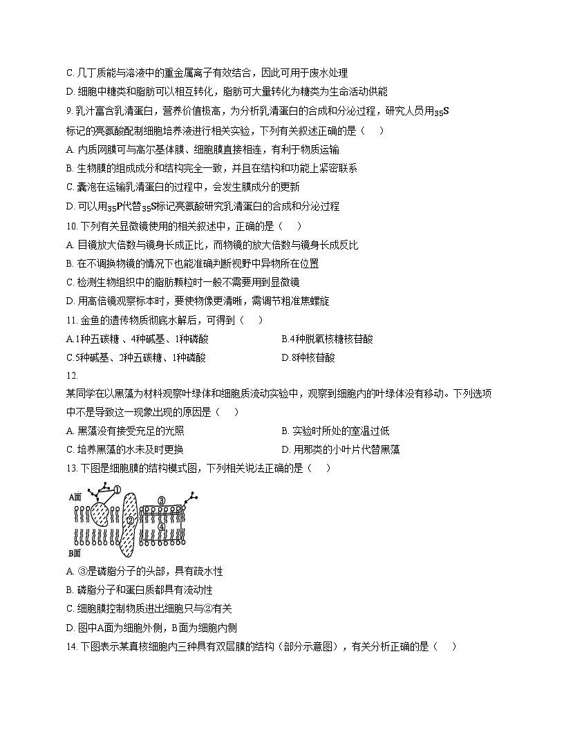 广东省东莞三校（莞美、大岭山、众美）联考2025_2026学年高一上学期期中考试生物试卷（文字版，含答案）第3页
