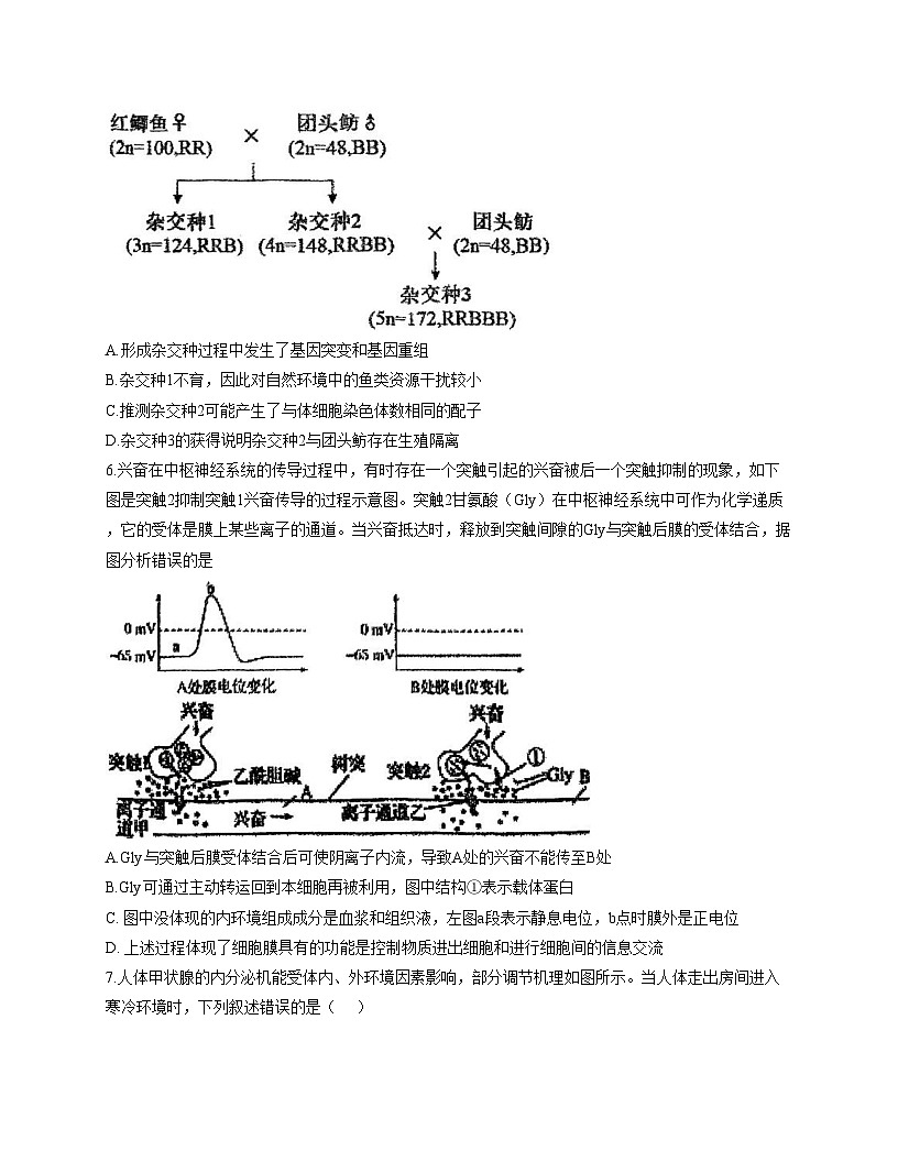 天津市静海区第四中学2025—2026学年高三上学期期中考试生物试题（文字版，含答案）第3页