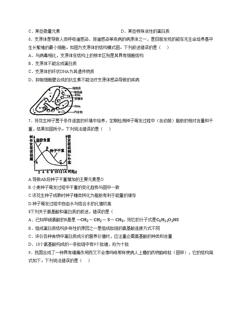 天津市第五十五中学2025—2026学年高一上学期期中考试生物试题（文字版，含答案）第2页