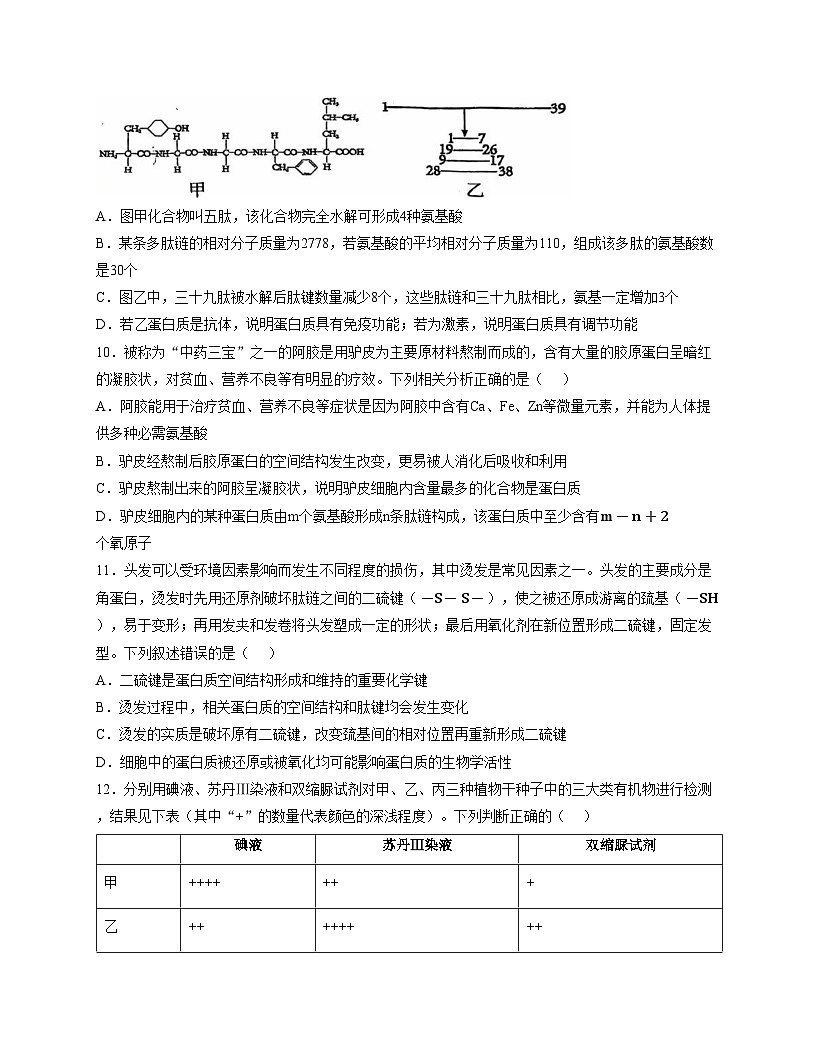 天津市第五十五中学2025—2026学年高一上学期期中考试生物试题（文字版，含答案）第3页