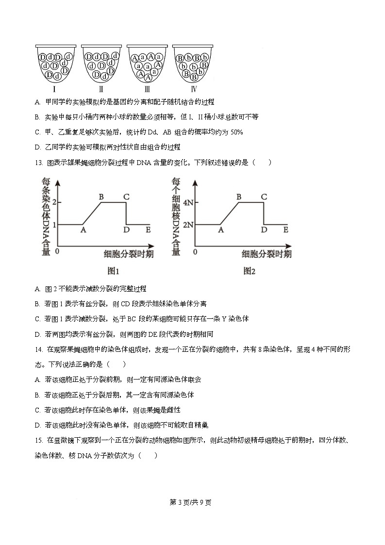 四川省资阳市安岳中学2023-2024学年高一下学期期中考试生物试题（原卷版）第3页