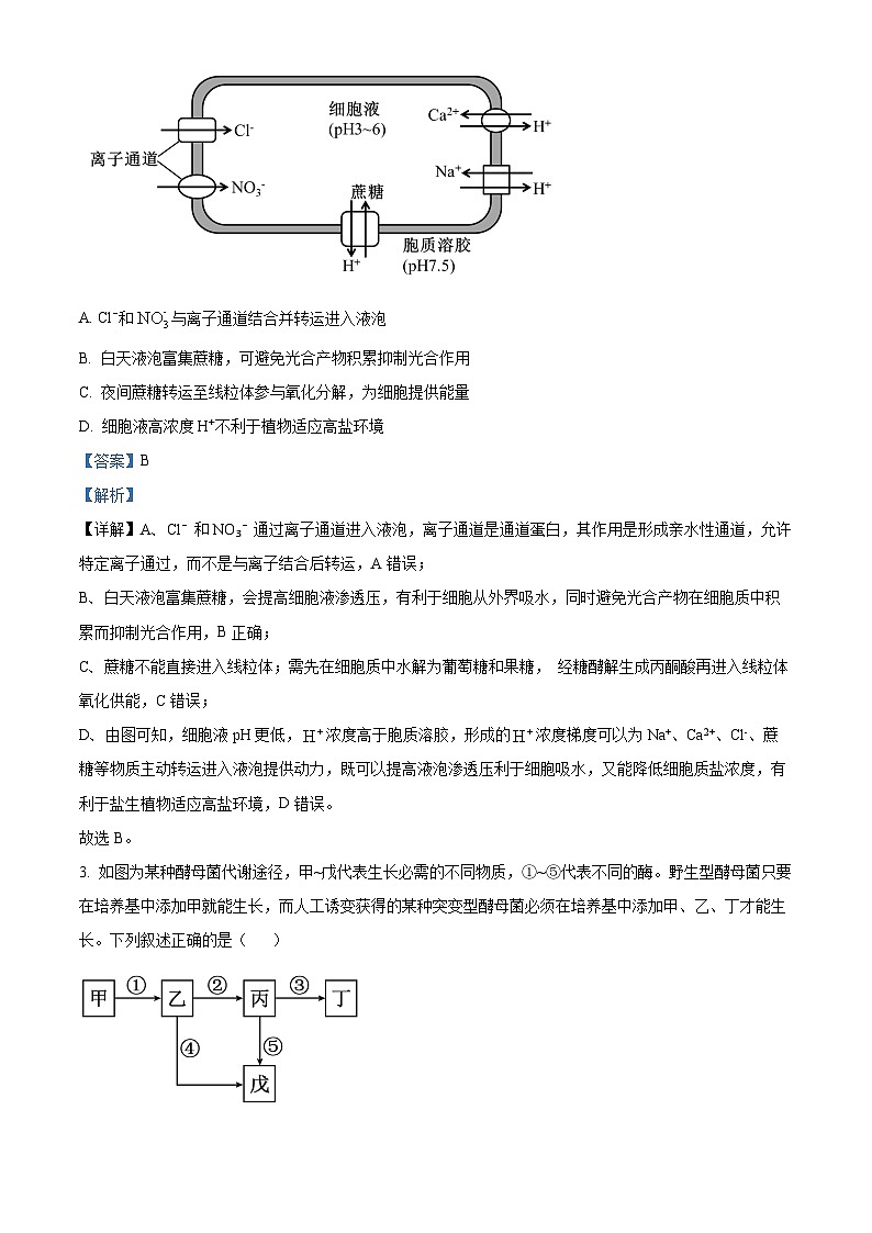 重庆市第一中学2026届高三下学期3月月考生物试题 Word版含解析第2页