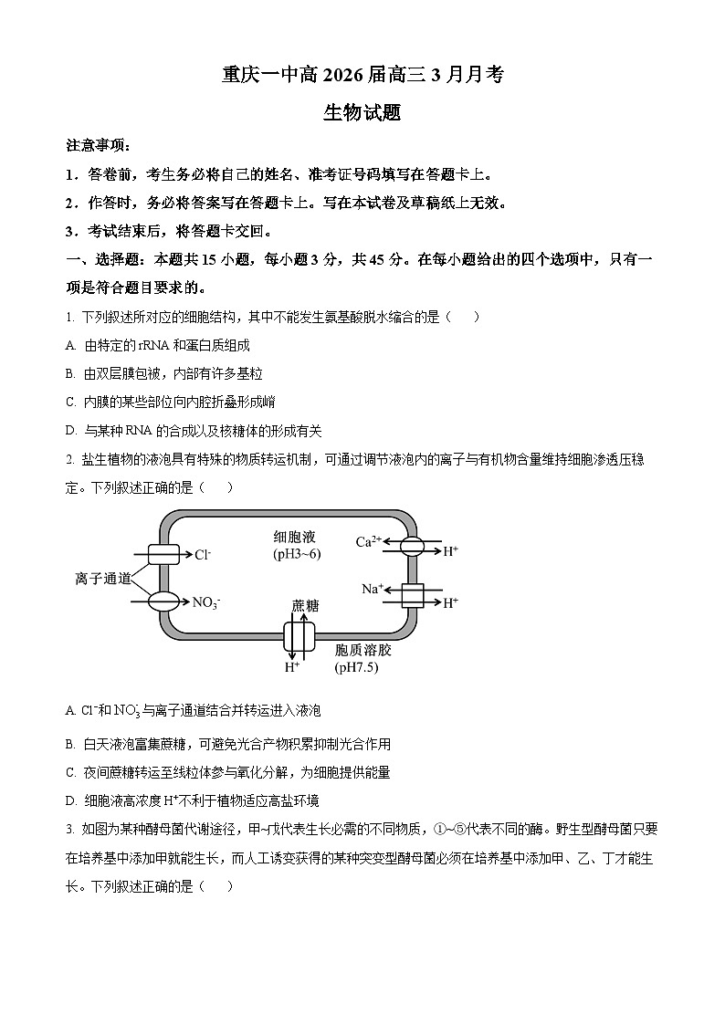 重庆市第一中学2026届高三下学期3月月考生物试题（原卷版）第1页