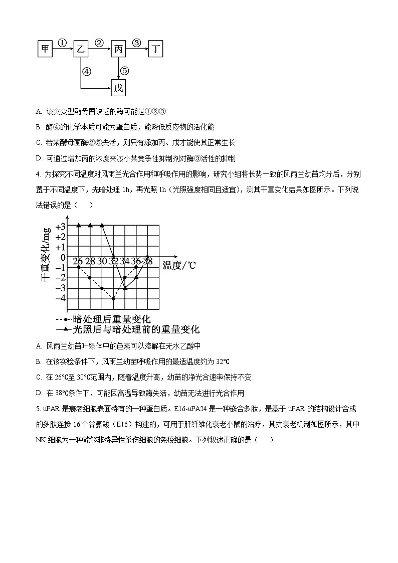 重庆市第一中学2026届高三下学期3月月考生物试题（原卷版）第2页