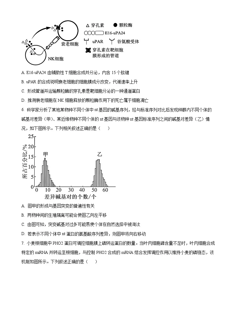 重庆市第一中学2026届高三下学期3月月考生物试题（原卷版）第3页