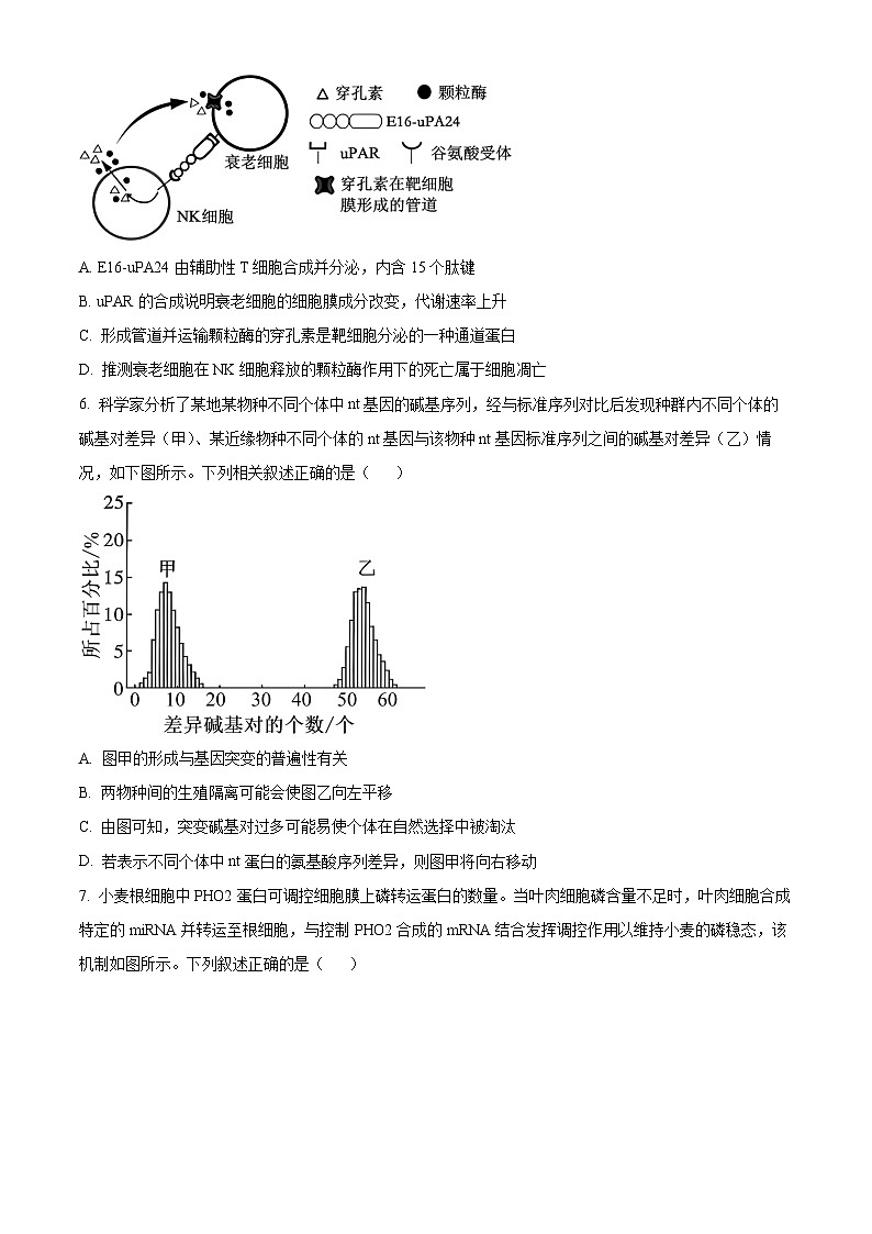 重庆市第一中学2026届高三下学期3月月考生物试题（原卷版）第3页