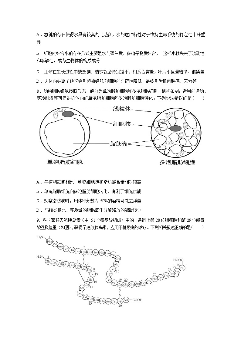 江西赣州市龙南市阳明中学2025-2026学年高一下学期开学生物试题含答案第3页