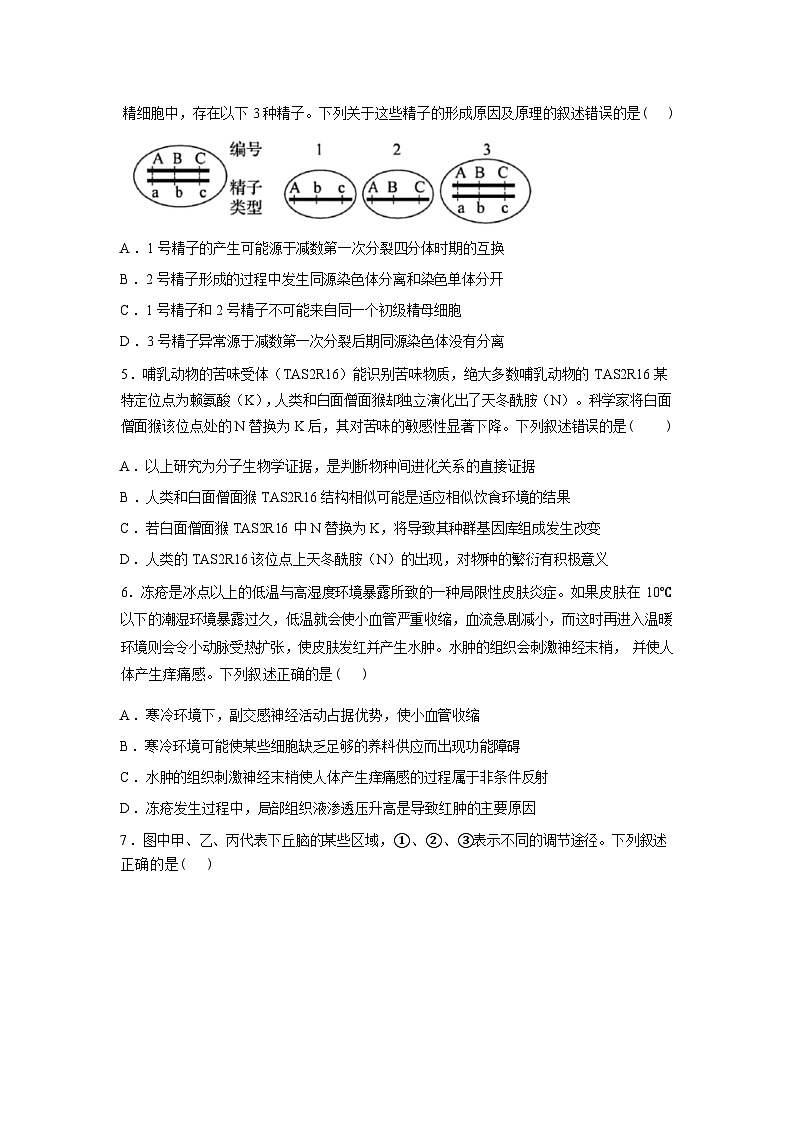 江西省赣州市宁都县2025-2026学年高三下学期联合检测生物试题含答案第2页
