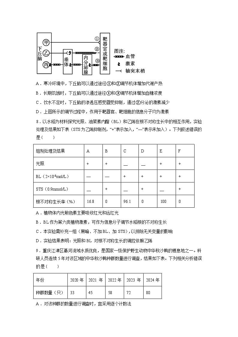 江西省赣州市宁都县2025-2026学年高三下学期联合检测生物试题含答案第3页