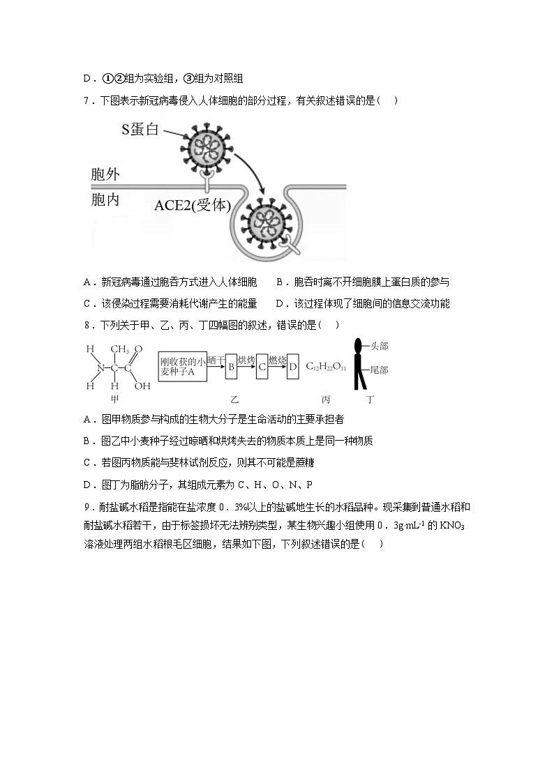 江西宜春市丰城市第九中学2025-2026学年高三复读班下学期开学考试生物试卷（日新班）含答案第3页