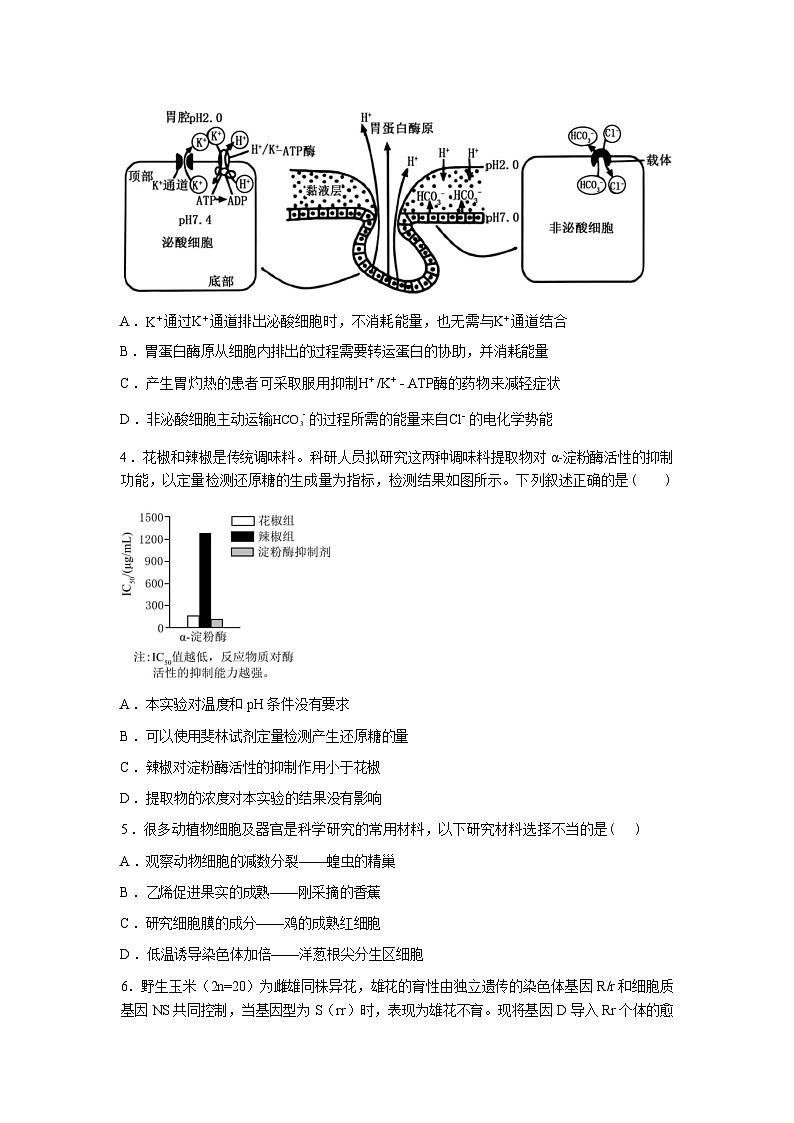 江西上高二中2025—2026学年高三下学期素养考试生物学（B）试题含答案第2页