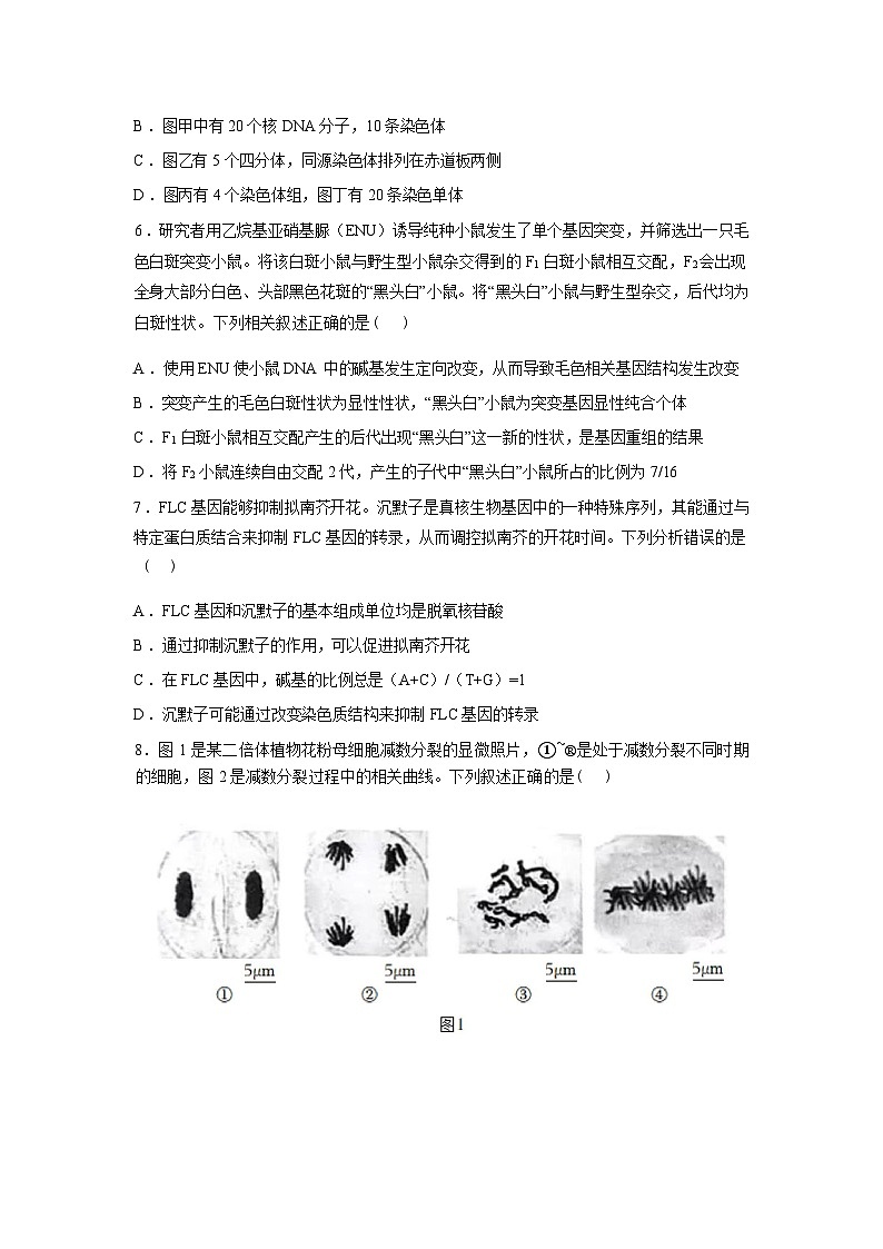 江西上高二中2025—2026学年高三下学期素养考试生物学（A）试题含答案第3页