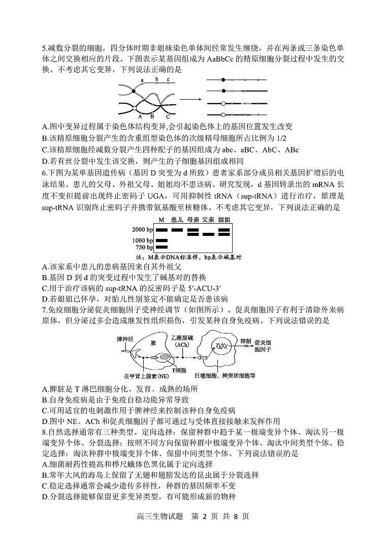 PDF件_高三年级第一次诊断性测试东营一模生物（含答案）第2页
